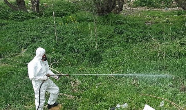 Bahar İlaçlaması Başladı