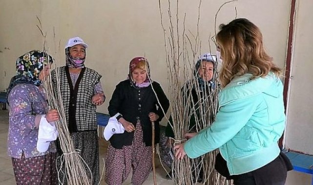 Büyükşehir'den ipekböceği yetiştiricilerine destek Alanya Alacami Mahallesi'nde dutfidanı dağıtıldı