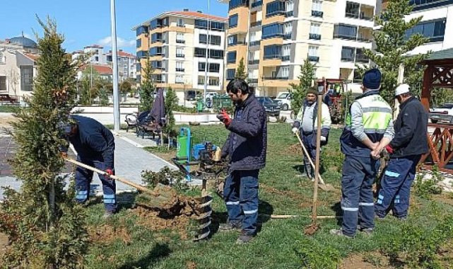 Daha Yeşil Bir Malkara İçin Ağaçlandırma Çalışmalarımız Devam Ediyor