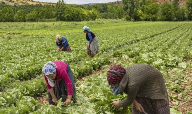 Eğitimli yerel üretici kadınların ürünlerini satışta