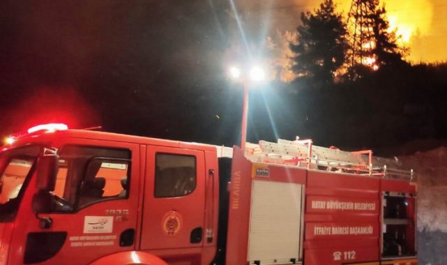 Hatay'da orman yangını