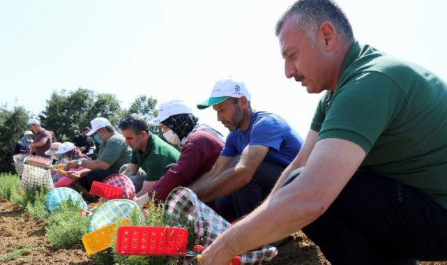 Kocaeli'nde kooperatif ve birliklere hibe desteği başvuruları 22 Nisan'da sona eriyor