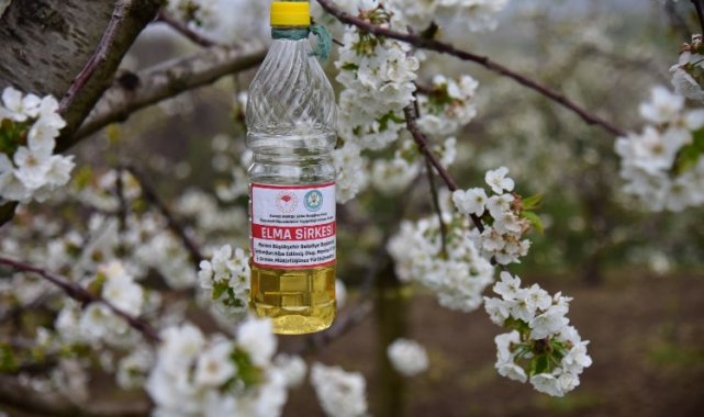 Üreticinin biyoteknik mücadelesine Manisa Büyükşehir desteği