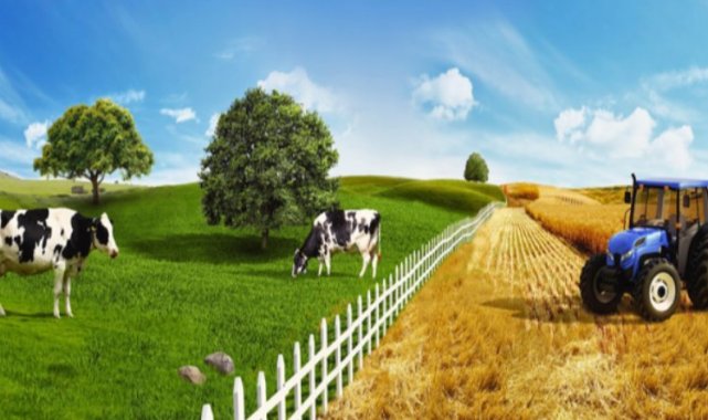 Türkiye tarım ve hayvancılıkta nereye gidiyor? Felaket kapıda mı?