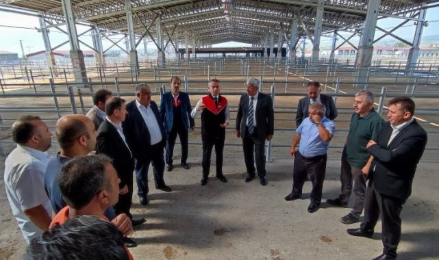 Çorum'da kurbanlık alarmı!