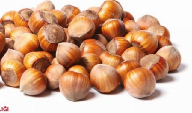 Giresun Tombul Fındığı'na AB tescili