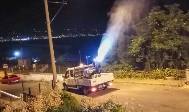 Giresun'da belediye sineklere savaş açtı