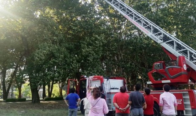 Ağaçta kalan İHA'yı itfaiye kurtardı