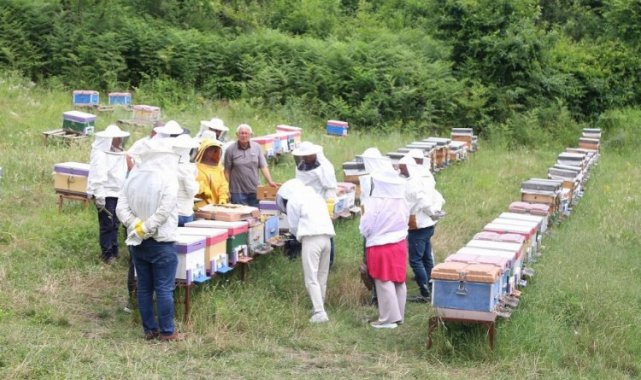 Arı yetiştiricileri ilkleri KO-MEK'te öğreniyor