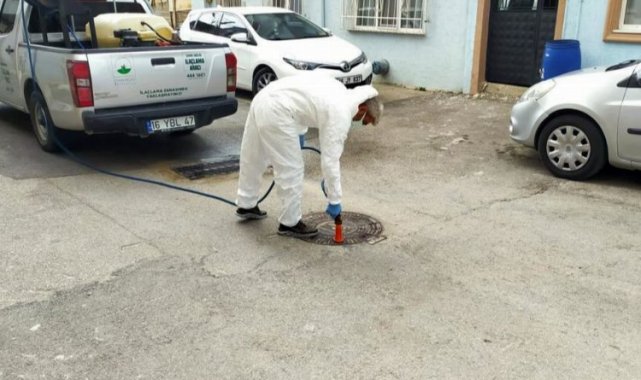 Bursa Osmangazi'de ilaçlama çalışmalarına devam