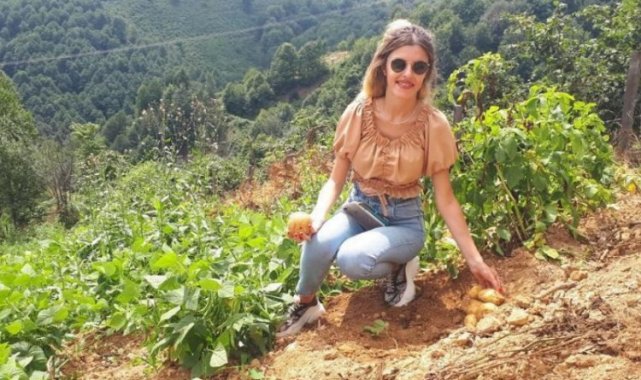 Çiftçiler patates üretimine yöneldi