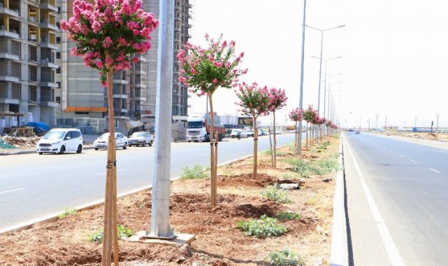 Diyarbakır'ın caddeleri 'Oya' gibi işlendi