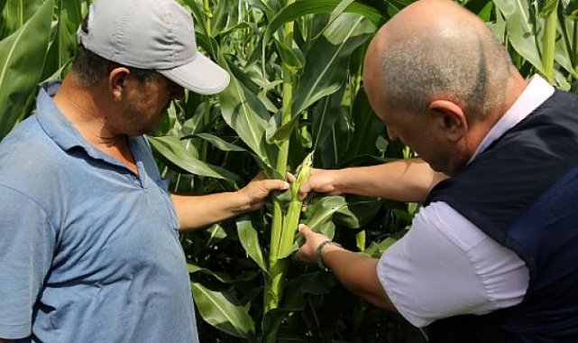 Kocaeli Büyükşehir'in tarıma desteği ilaç gibi geldi