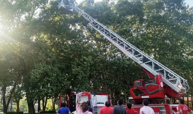 Kocaeli'de ağaçta kalan İHA'yı itfaiye kurtardı