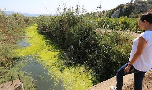 “Kuyu Kurumadan” Su Çalıştayları Devam Ediyor