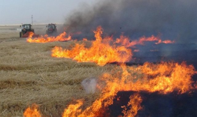 Sakarya'dan 'tarımsal faaliyetlerde ateş yakmayın' uyarısı