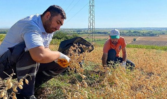 Sevgi Mutfağı’nın ihtiyaçları tarladan