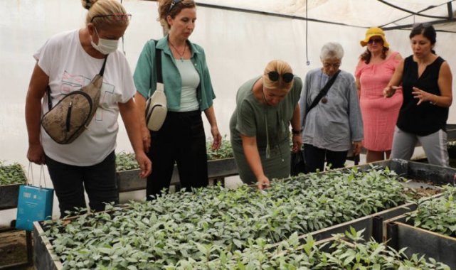 Tıbbi Aromatik Bitkiler Kursu'na yoğun ilgi