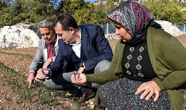 Yenişehir Belediyesi tarımsal danışmanlık hizmeti verecek