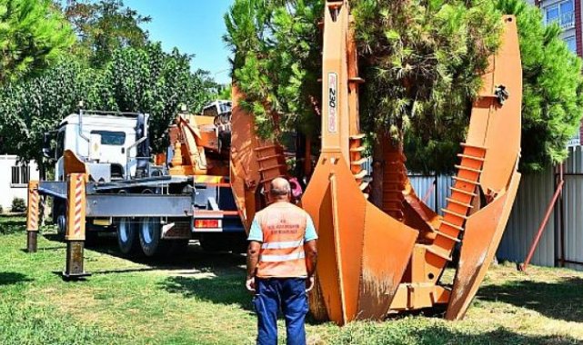 Ağaçlar taşınarak koruma altına alınıyor