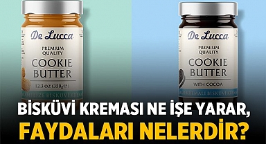 Bisküvi Kreması Kullanma
