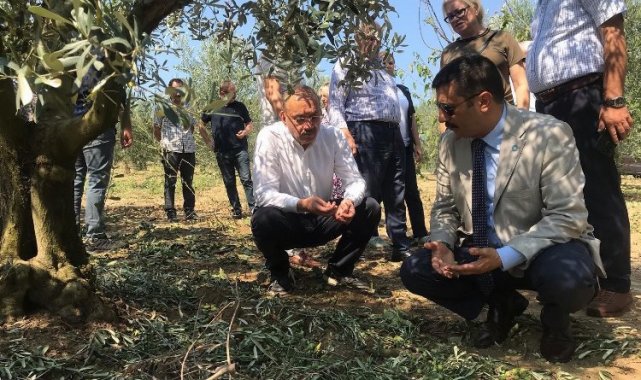 Bursalı çiftçinin zararı büyük