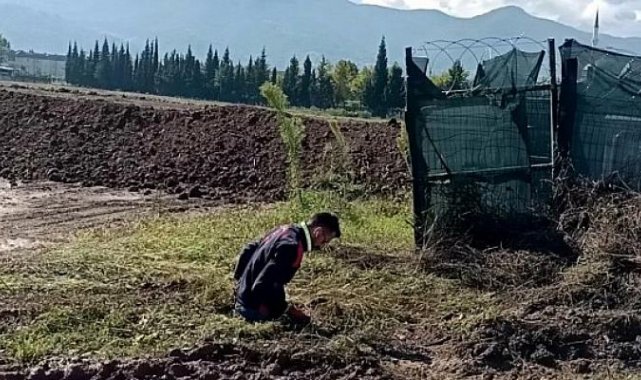 Çukura düşen yavru köpeği A Takımı kurtardı