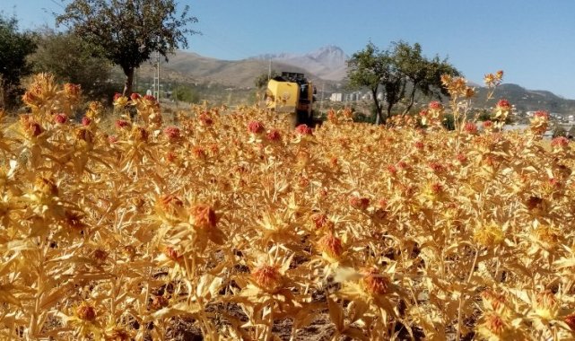 Kayseri Talas'tan tarım atılımı