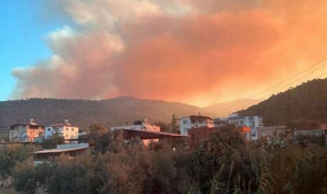 Mersin'de orman yangınına müdahale sürüyor