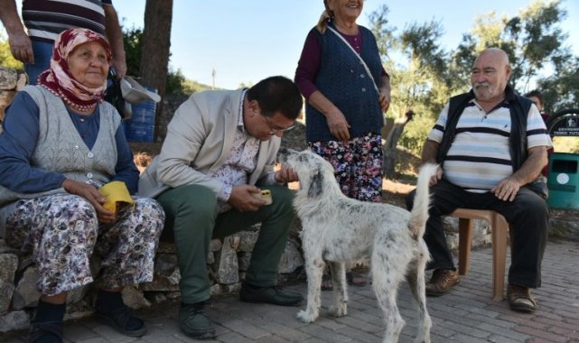 Muğla Milas'ta kentsel-kırsal ayrımı yok