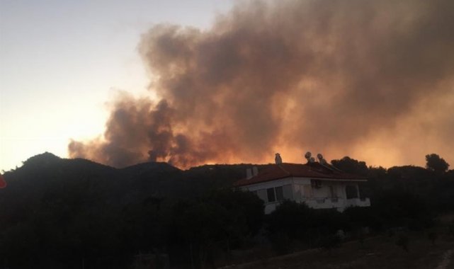 Muğla Ula'daki yangında 50 hektar ormanlık alan zarar gördü
