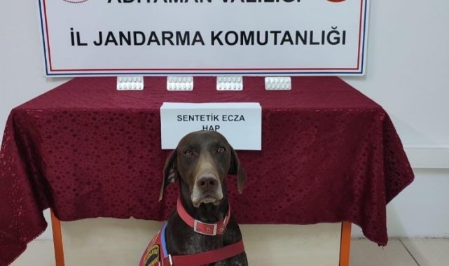 Adıyaman'da narkotiğin hassas burnu Leydi yakaladı!