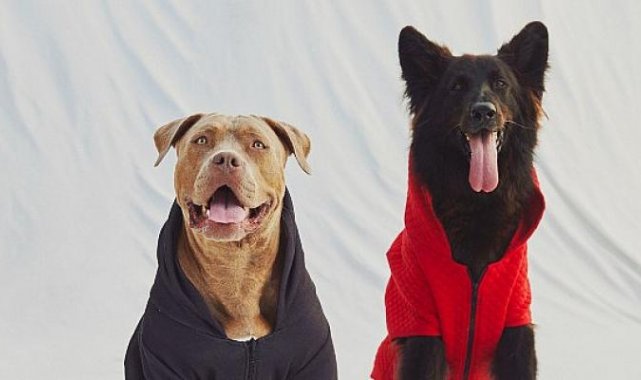 Koton, Love Koleksiyonu ile Patili Dostalarımıza ‘Göz Kulak Oluyor’!