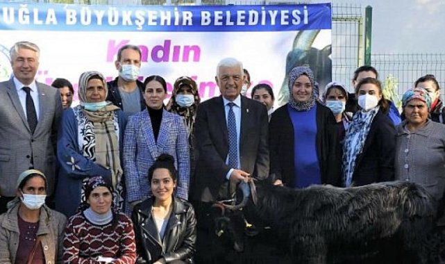 Muğla Büyükşehir Belediyesi Yatağan’da Kıl Keçisi Dağıtıyor