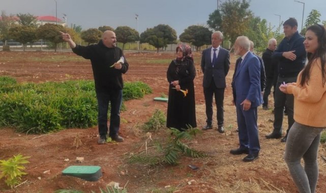 Dünyanın en değerli baharatı Şanlıurfa'ya yeniden kazandırıldı