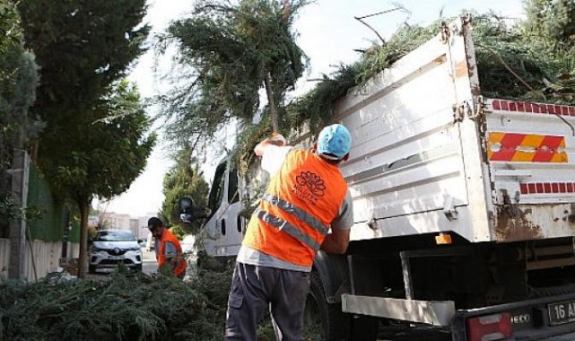Nilüfer’de bahçe ve budama atıkları kompost oluyor