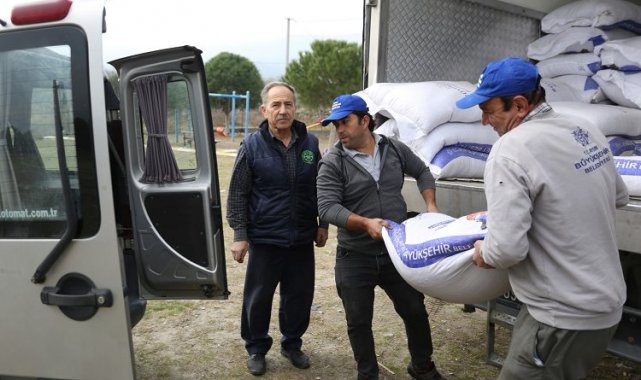Aydın Büyükşehir'den yem desteği
