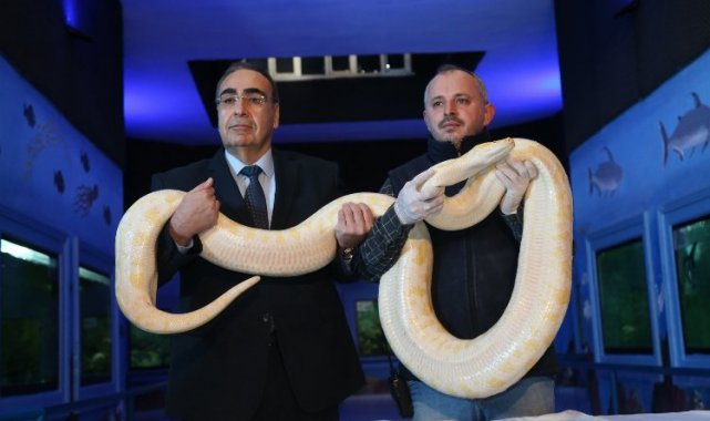 İstanbul'dan getirilen hayvanlar Gaziantep'in 'doğal' yaşamında