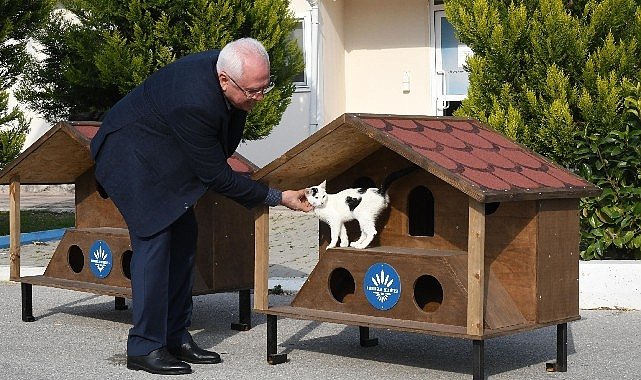 Karabağlar'ın 2023 yılı kedi evleri hazır