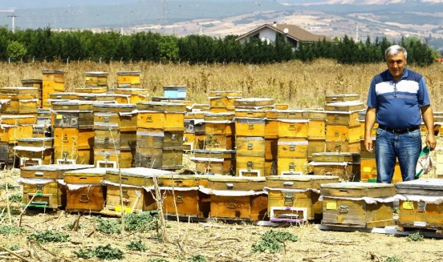 Bursa Yenişehirli arıcılara 85 bin lira devlet desteği