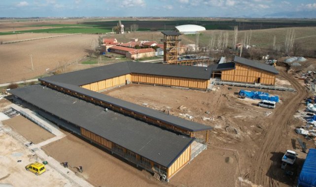 Türkiye'nin en büyük ahşap kamu yatırımı olacak