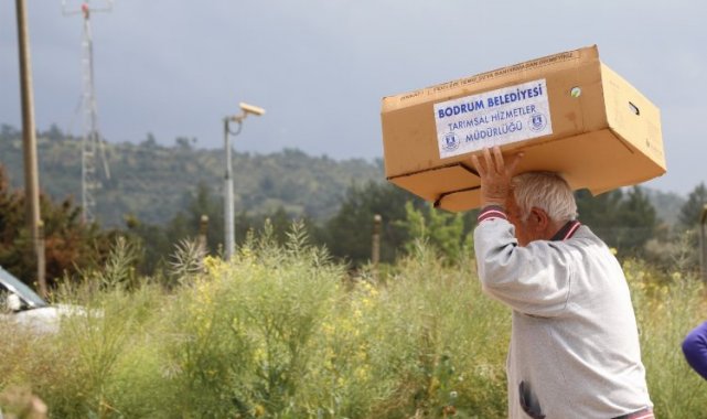Bodrum'da 350 bin fide üreticiyle buluştu