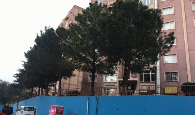 İzmit tehlikeli ağaçlara müdahale edecek