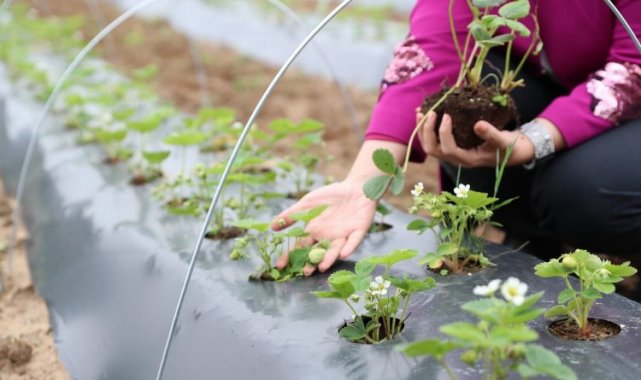 İzmit'in Çilek Köyü eğitime katkı sunacak