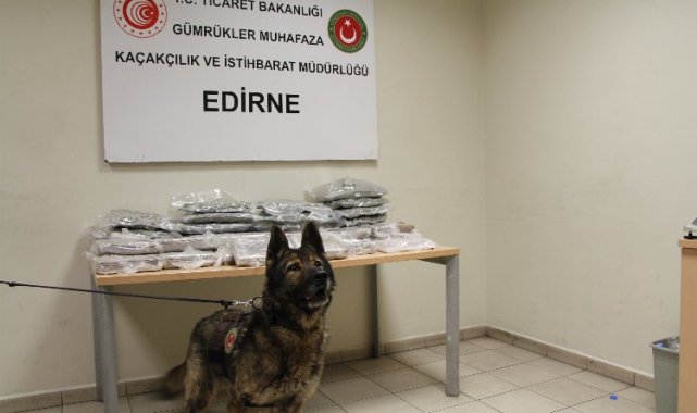 Kapıkule'de 33 kilogram uyuşturucu yakalandı