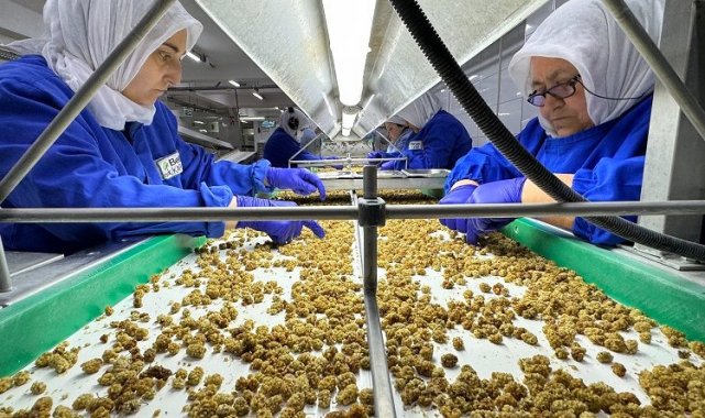 Türkiye organik ürün ihracatında sınırı aştı
