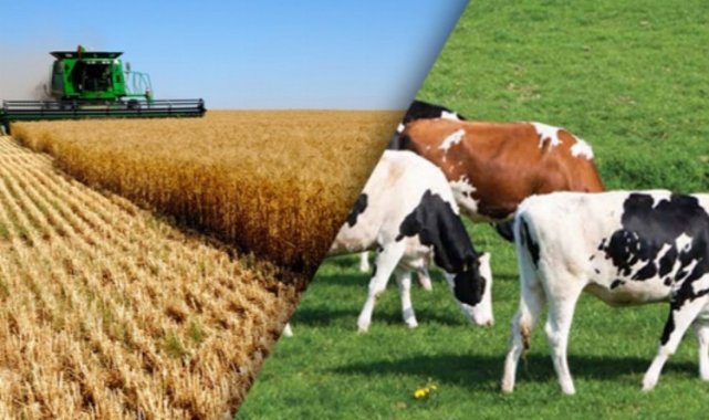 CHP'den tarım ve hayvancılık seferberliği