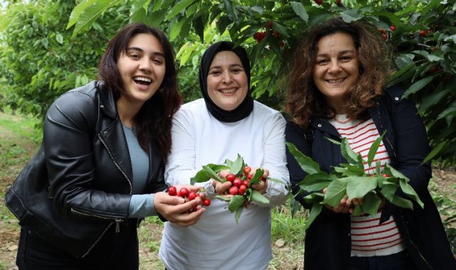 Ege'de kiraz hasadına enerji kattılar