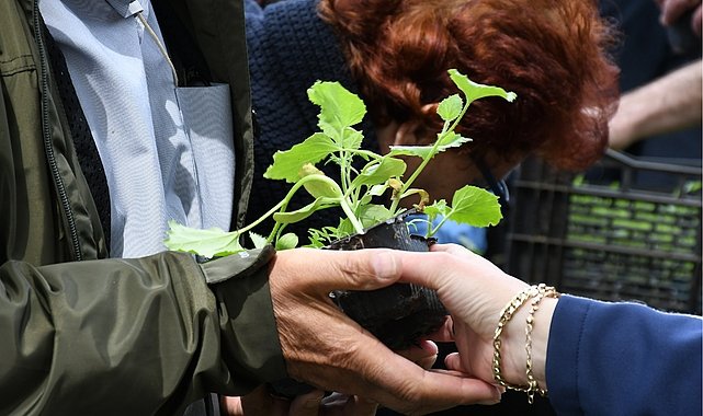 Lüleburgaz Belediyesinin serasında atalık tohumlardan elde ettiği 12 bin 500 adet sebze fidesi 14 Mayıs saat 12.00'da Kongre Meydanında vatandaşla paylaşılacak