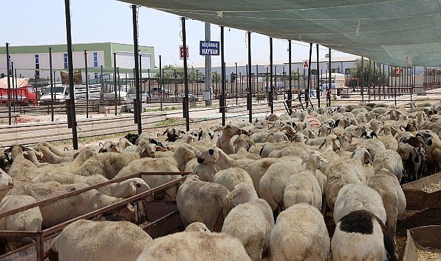 Selçuklu Belediyesi vatandaşların Kurban Bayramı'nı rahat ve huzurlu bir şekilde geçirmesi için tüm hazırlıkları tamamladı